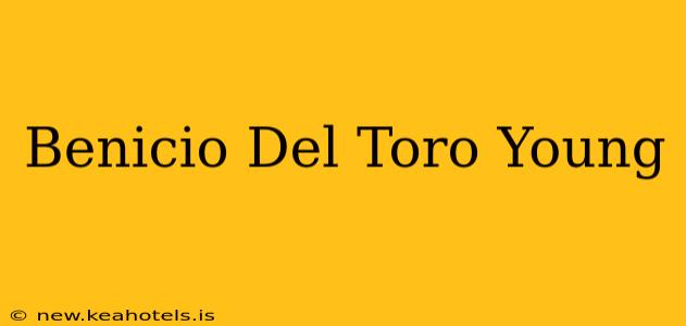Benicio Del Toro Young