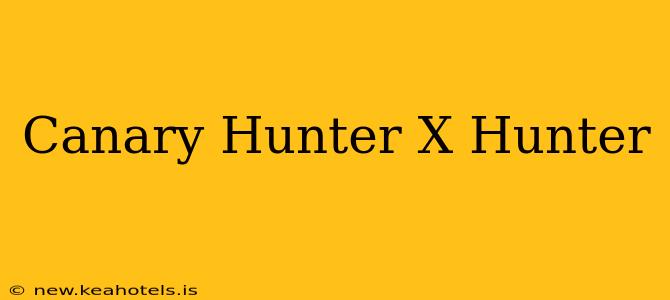 Canary Hunter X Hunter