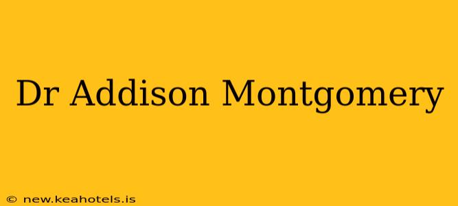 Dr Addison Montgomery