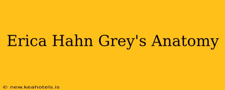 Erica Hahn Grey's Anatomy