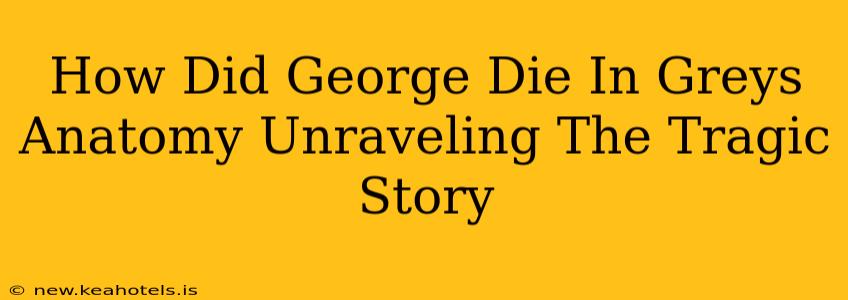 How Did George Die In Greys Anatomy Unraveling The Tragic Story