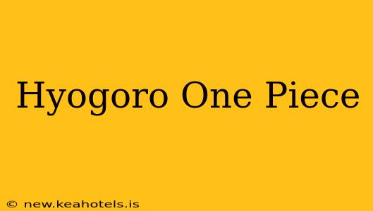 Hyogoro One Piece