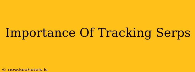 Importance Of Tracking Serps