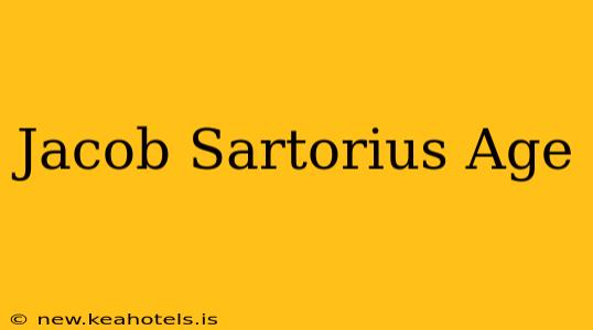 Jacob Sartorius Age