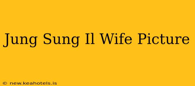 Jung Sung Il Wife Picture