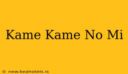 Kame Kame No Mi