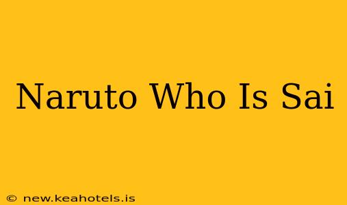 Naruto Who Is Sai