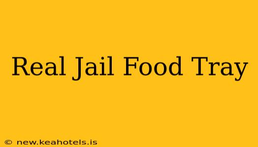 Real Jail Food Tray