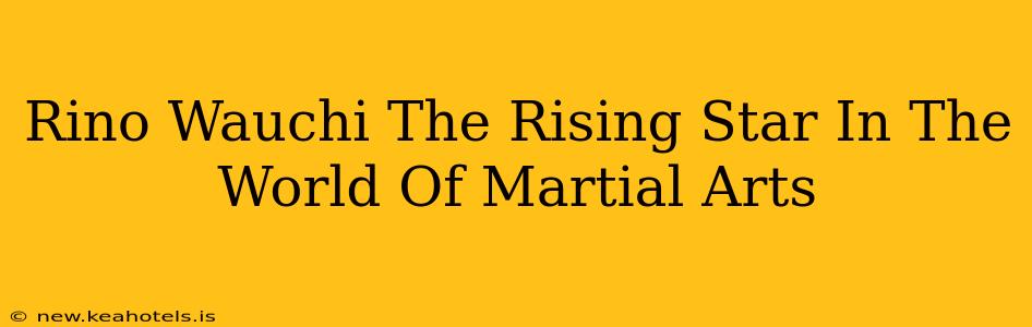Rino Wauchi The Rising Star In The World Of Martial Arts