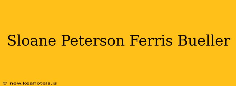 Sloane Peterson Ferris Bueller