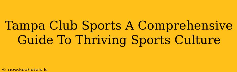 Tampa Club Sports A Comprehensive Guide To Thriving Sports Culture
