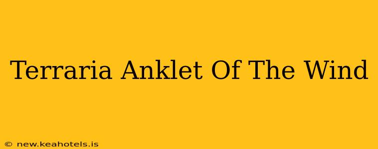 Terraria Anklet Of The Wind