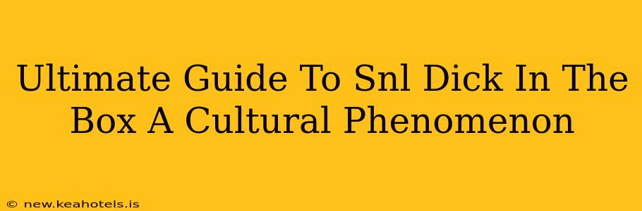 Ultimate Guide To Snl Dick In The Box A Cultural Phenomenon