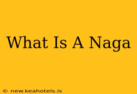 What Is A Naga