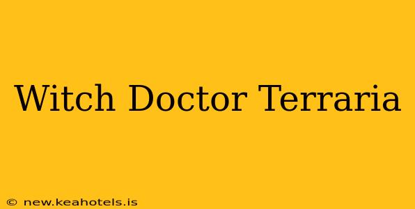 Witch Doctor Terraria