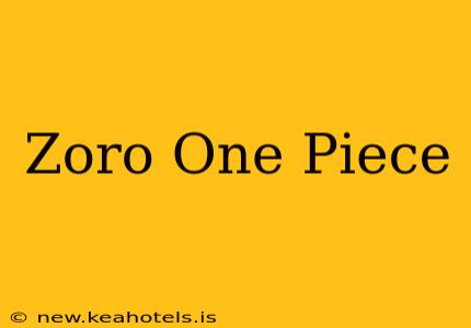 Zoro One Piece